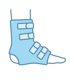 Ankle Support